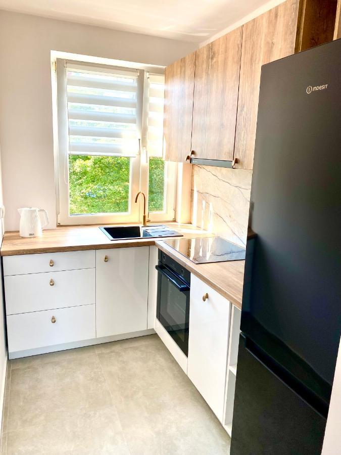 Apartament II Glamour Work&Relax, Obok Areny Gliwice, Fv Apartment Bagian luar foto