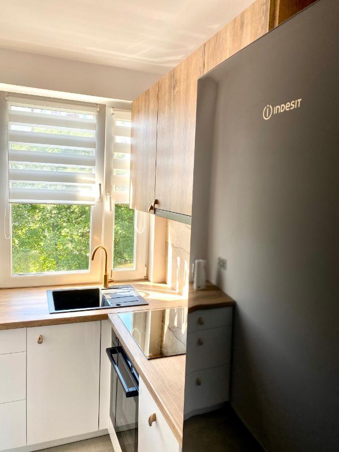 Apartament II Glamour Work&Relax, Obok Areny Gliwice, Fv Apartment Bagian luar foto